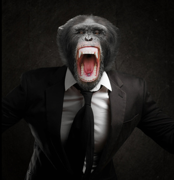 Book Marketing For The Faint Hearted Gorilla